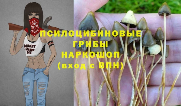 прущая мука Богородск